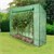 Invernadero de lámina con lámina de celosía y puerta, verde, 200x79x168 cm