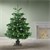 Juletræsstativ med vandskål Mørkegrønt metal til træer på op til 210 cm