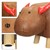 WOMO-DESIGN fezes de vitela de animal castanho/vermelho, 68x30x37 cm, feitas de imitação de couro